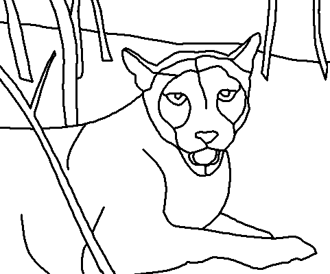 coloring pages for the florida panther - photo #14